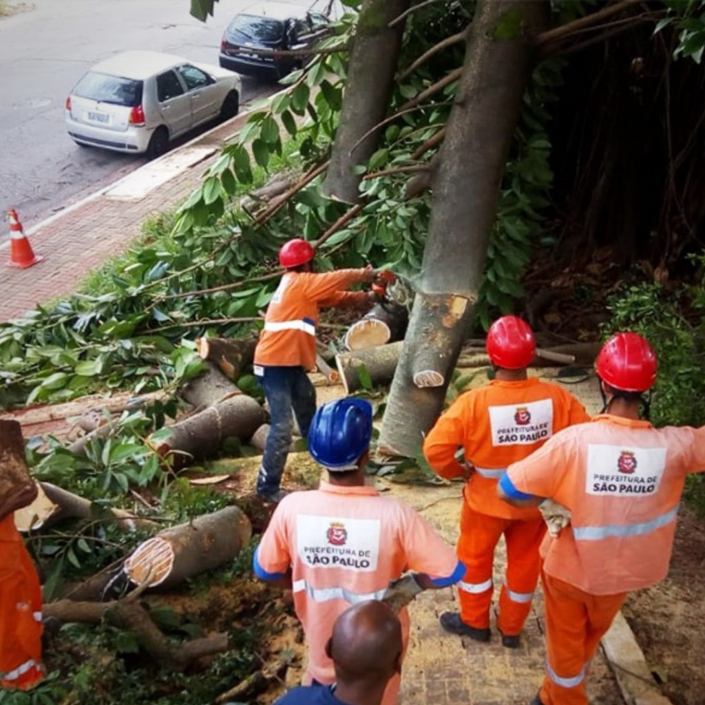 Apenas de janeiro a agosto de 2019, a Defesa Civil registrou 4.007 quedas de árvores na capital