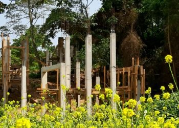 O futuro parque terá como endereço a Rua Japaraná