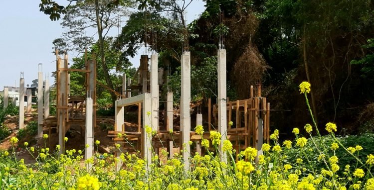 O futuro parque terá como endereço a Rua Japaraná