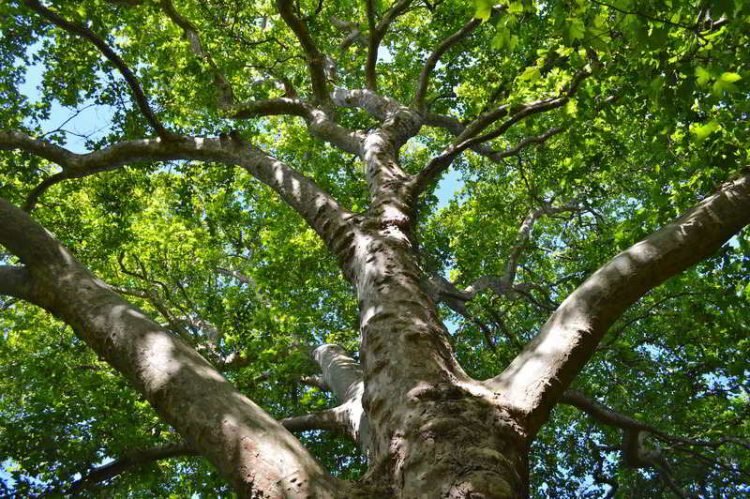 Confira a agendas dos próximos encontros; é preciso fazer inscrição