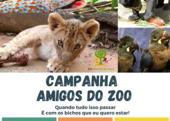 Campanha ‘Amigos do Zoo’