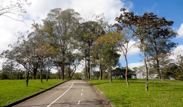Os parques municipais continuam fechados por tempo indeterminado
