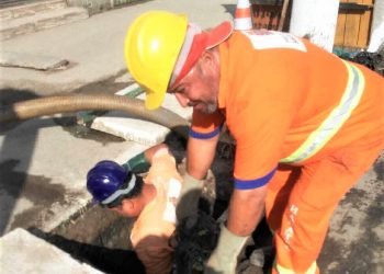 Cronograma tem como meta combater as arboviroses