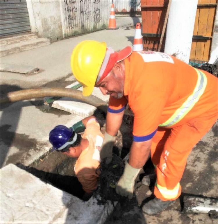 Cronograma tem como meta combater as arboviroses