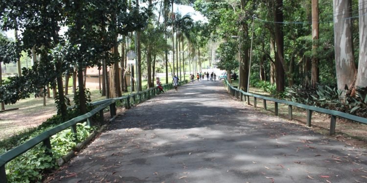 O Parque do Carmo é um dos espaços verdes mais importantes da Zona Leste