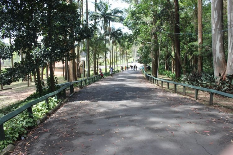 O Parque do Carmo é um dos espaços verdes mais importantes da Zona Leste