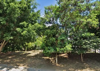 A Praça Mauro Broco fica no Jardim Têxtil