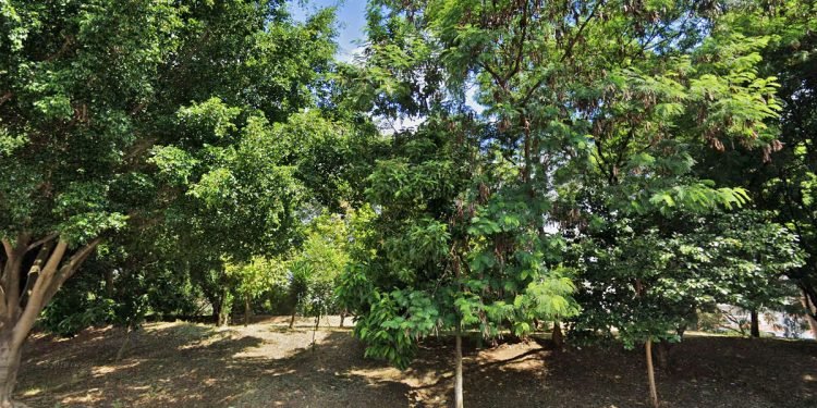 A Praça Mauro Broco fica no Jardim Têxtil