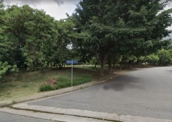 Na área existem exemplares de aroeira-salsa (Schinus molle), eucalipto (Eucalyptus sp.), figueira-benjamim (Ficus benjamina), entre outras