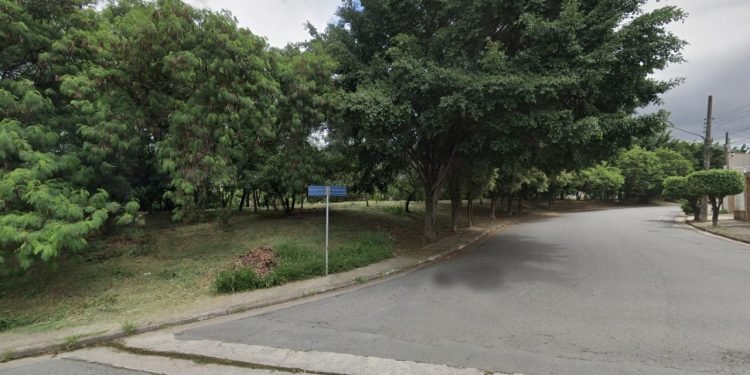 Na área existem exemplares de aroeira-salsa (Schinus molle), eucalipto (Eucalyptus sp.), figueira-benjamim (Ficus benjamina), entre outras