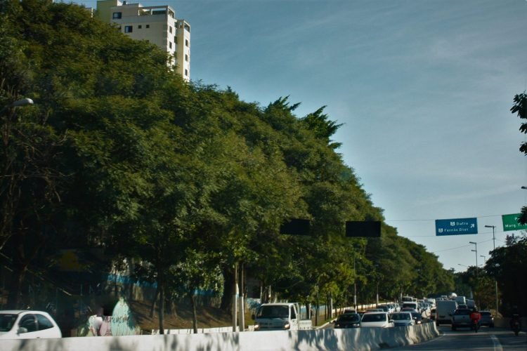 O propósito é fomentar o conhecimento e a conscientização sobre a segurança viária ao fomentar a participação de profissionais envolvidos na cadeia de informação