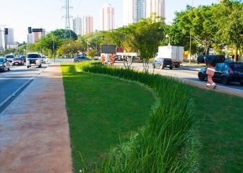 Grandes avenidas têm novo paisagismo