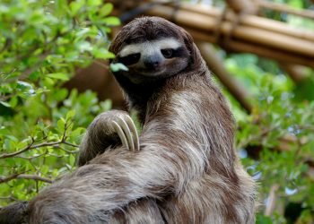 Parque Natural abre ao público com várias atividades e trilhas