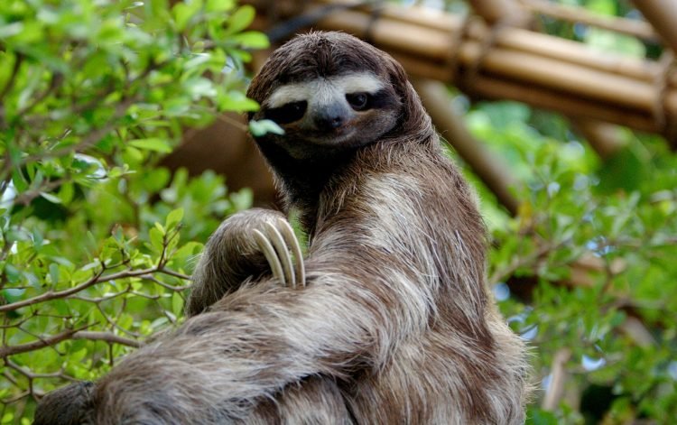 Parque Natural abre ao público com várias atividades e trilhas