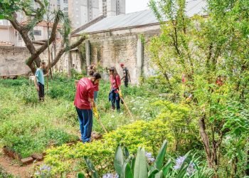 Área da Horta das Flores sai da rota dos prédios da Cohab