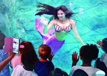 Aquário de São Paulo é opção de diversão