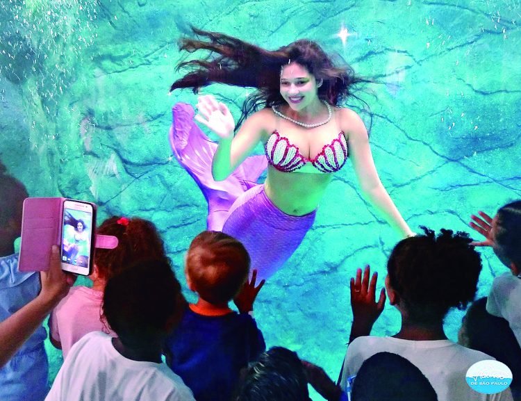 Aquário de São Paulo é opção de diversão