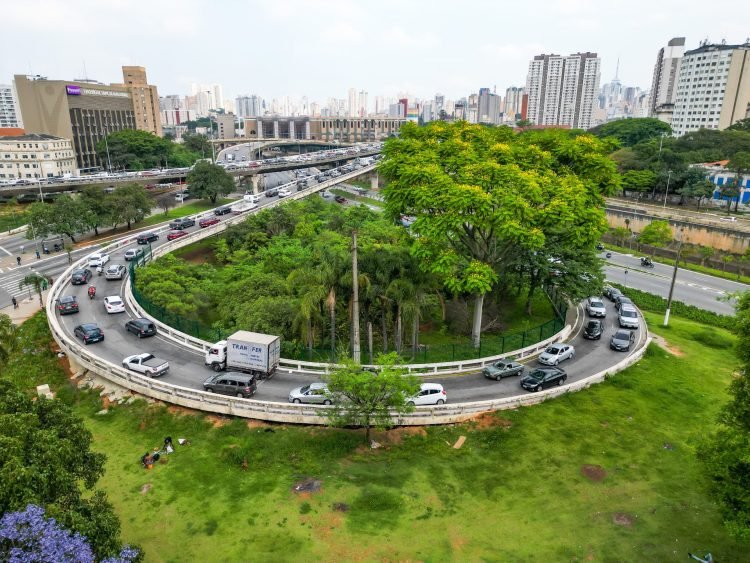 Miniflorestas urbanas recuperam fauna, flora e permeabilidade