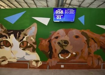 Hospital Veterinário da Zona Leste adota modelo de agendamento