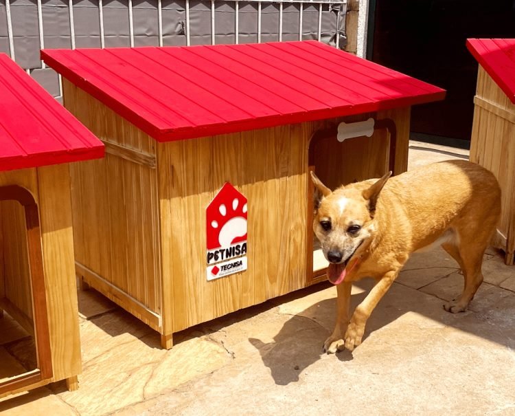 Fazer o bem, faz bem!