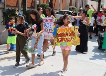 Folia do Bem - Lar Sírio