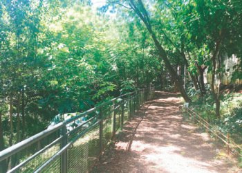 Necessidade de Planos para Áreas Verdes e Públicas no Novo PDE