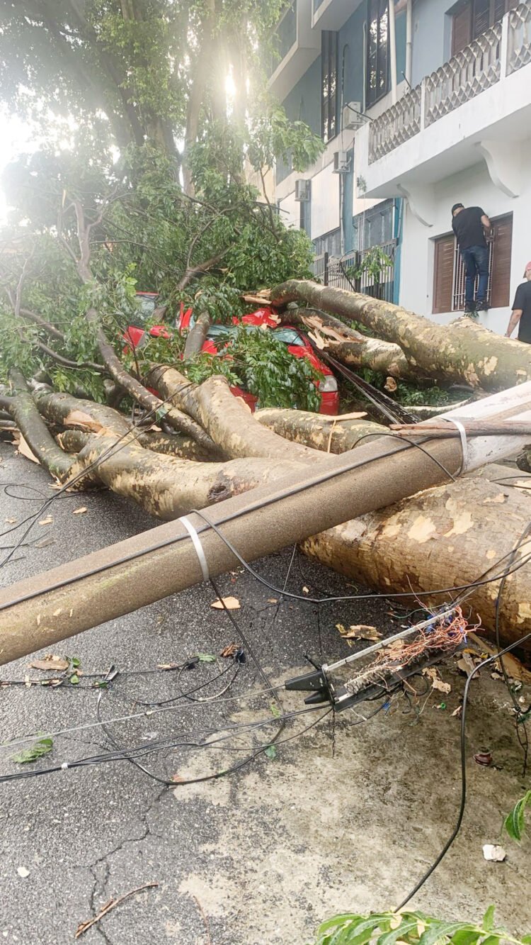 Enchentes e ações emergenciais