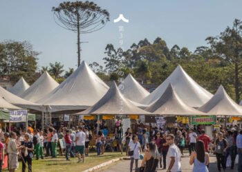 Festival Kodomo No Sono