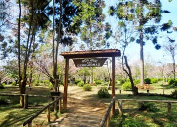 Programa Vizinhança Solidária aproxima PM da comunidade em SP