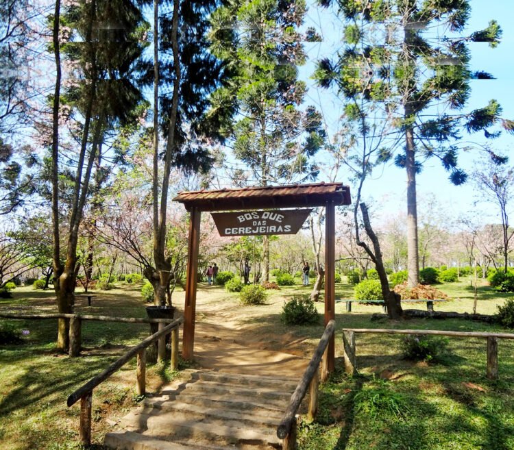 Programa Vizinhança Solidária aproxima PM da comunidade em SP