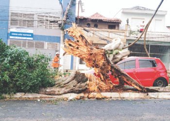 ENEL é obrigada a apresentar relatório detalhado sobre riscos às redes de energia