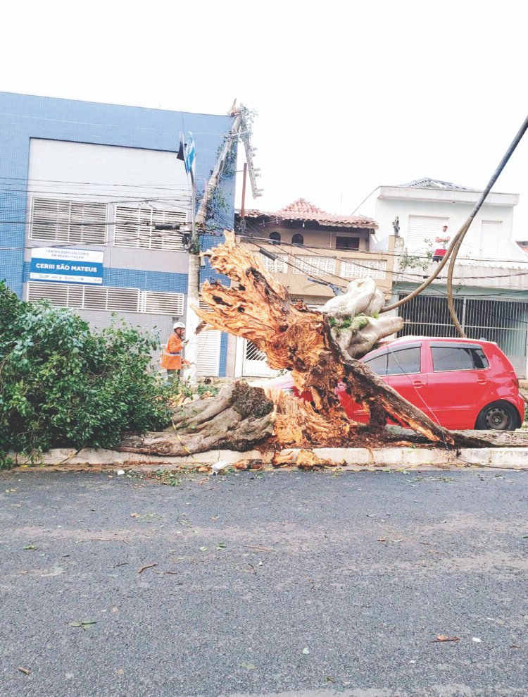 ENEL é obrigada a apresentar relatório detalhado sobre riscos às redes de energia