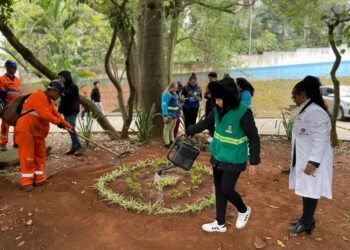 São Mateus já plantou mais de mil mudas com o programa “São Paulo + Verde”