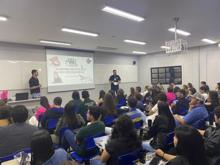 Universidade Brasil abre inscrições para vestibular do 2º semestre de 2025