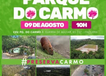 Audiência pública discute revitalização do Parque do Carmo e segurança na região