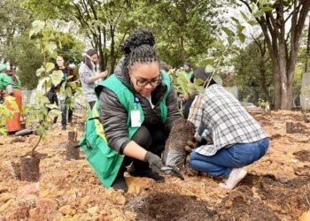 UBS de São Miguel ganha miniflorestas