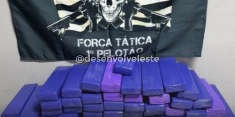🚨 APREENSÃO RECORDE no Cangaíba! 🚨