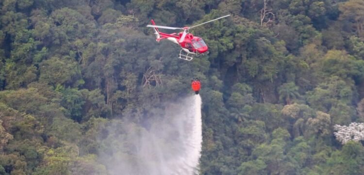 Conheça o Plano Estadual de Resiliência às Mudanças Climáticas do Governo de São Paulo que prevê 181 ações nos municípios - Agência SP, a agência de notícias de São Paulo