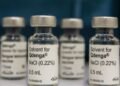 Dengue: 3 milhões de adolescentes estão com vacinação incompleta