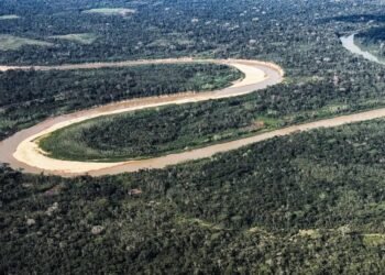 Holanda anuncia US$ 500 milhões em fundo florestal criado pelo Brasil