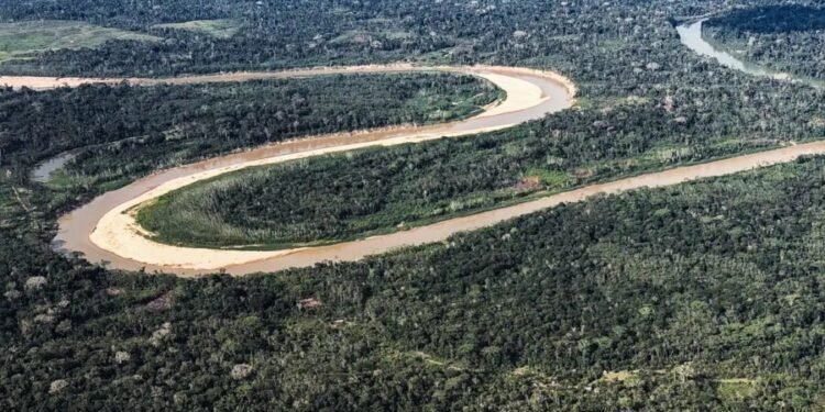 Holanda anuncia US$ 500 milhões em fundo florestal criado pelo Brasil