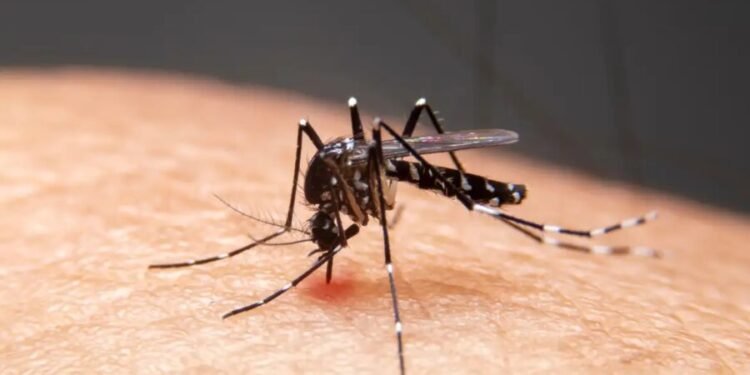 Mudanças climáticas já causam aumento de doenças infecciosas no país