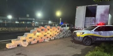 Polícia Rodoviária apreende 1,8 tonelada de maconha escondida em caminhão na região de Marília