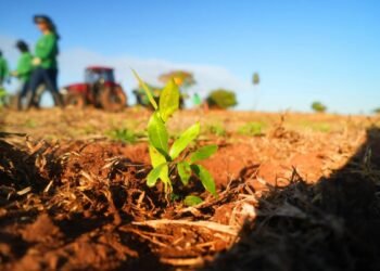 Projetos de sustentabilidade são premiados na 2ª edição do SP Carbono Zero