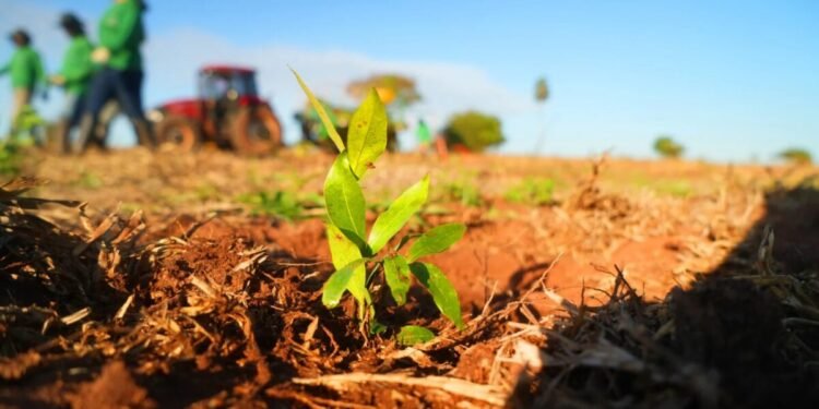Projetos de sustentabilidade são premiados na 2ª edição do SP Carbono Zero