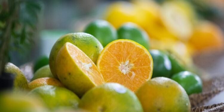 São Paulo produz 80% das laranjas no país; conheça a história e as curiosidades da fruta